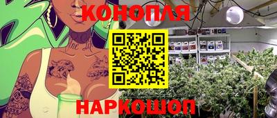 альфа пвп Анжеро-Судженск
